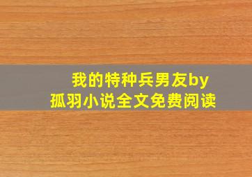 我的特种兵男友by孤羽小说全文免费阅读