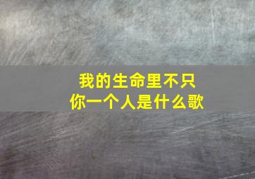 我的生命里不只你一个人是什么歌