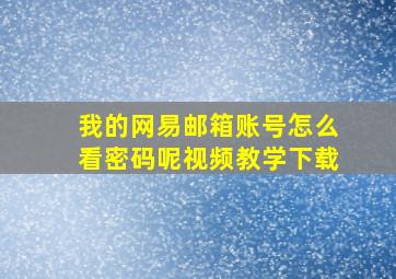 我的网易邮箱账号怎么看密码呢视频教学下载