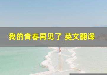 我的青春再见了 英文翻译