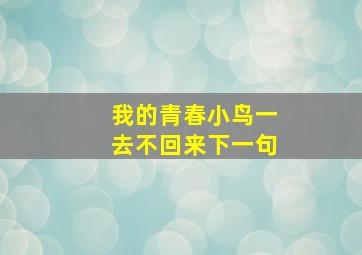 我的青春小鸟一去不回来下一句