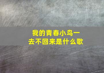 我的青春小鸟一去不回来是什么歌