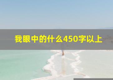 我眼中的什么450字以上