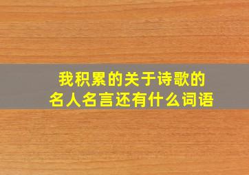 我积累的关于诗歌的名人名言还有什么词语