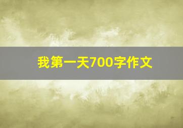 我第一天700字作文