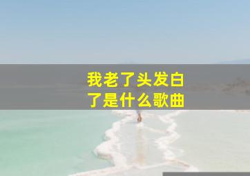 我老了头发白了是什么歌曲