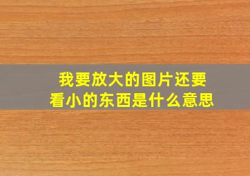 我要放大的图片还要看小的东西是什么意思