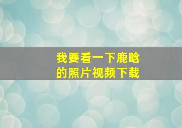 我要看一下鹿晗的照片视频下载