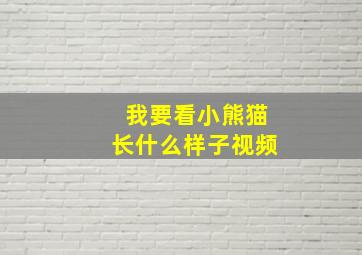 我要看小熊猫长什么样子视频