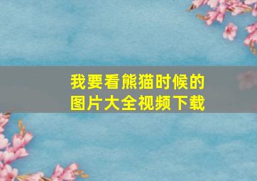 我要看熊猫时候的图片大全视频下载