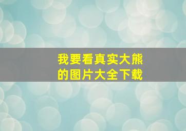 我要看真实大熊的图片大全下载