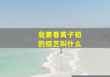 我要看黄子韬的综艺叫什么