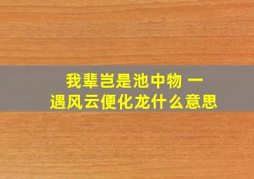 我辈岂是池中物 一遇风云便化龙什么意思