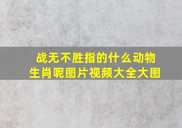 战无不胜指的什么动物生肖呢图片视频大全大图