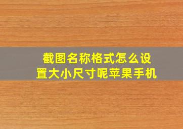 截图名称格式怎么设置大小尺寸呢苹果手机