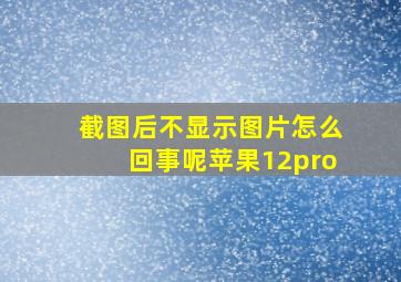 截图后不显示图片怎么回事呢苹果12pro