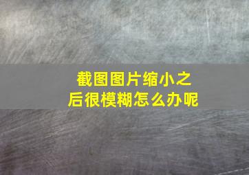 截图图片缩小之后很模糊怎么办呢