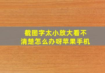 截图字太小放大看不清楚怎么办呀苹果手机