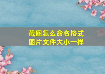 截图怎么命名格式图片文件大小一样