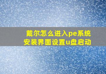 戴尔怎么进入pe系统安装界面设置u盘启动