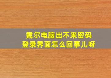 戴尔电脑出不来密码登录界面怎么回事儿呀