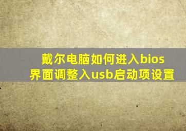 戴尔电脑如何进入bios界面调整入usb启动项设置