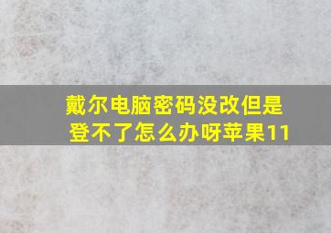 戴尔电脑密码没改但是登不了怎么办呀苹果11