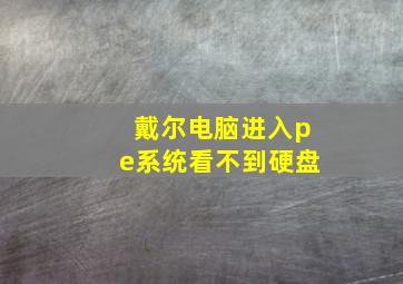 戴尔电脑进入pe系统看不到硬盘