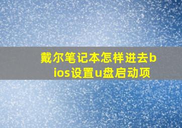 戴尔笔记本怎样进去bios设置u盘启动项