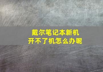 戴尔笔记本新机开不了机怎么办呢