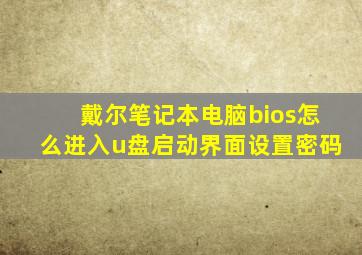 戴尔笔记本电脑bios怎么进入u盘启动界面设置密码