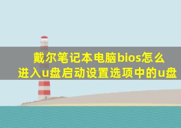 戴尔笔记本电脑bios怎么进入u盘启动设置选项中的u盘