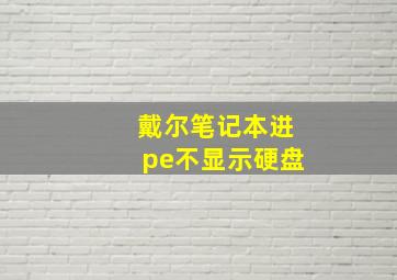 戴尔笔记本进pe不显示硬盘