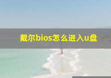 戴尔bios怎么进入u盘