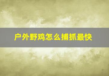 户外野鸡怎么捕抓最快