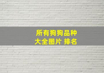 所有狗狗品种大全图片 排名