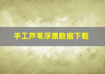 手工芦苇浮漂数据下载