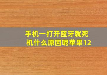 手机一打开蓝牙就死机什么原因呢苹果12