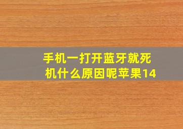 手机一打开蓝牙就死机什么原因呢苹果14