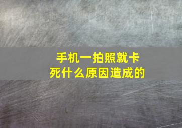 手机一拍照就卡死什么原因造成的