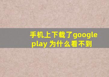 手机上下载了google play 为什么看不到