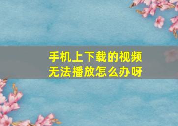 手机上下载的视频无法播放怎么办呀