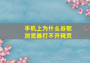 手机上为什么谷歌浏览器打不开网页