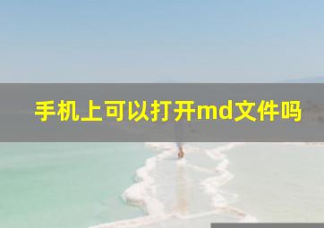 手机上可以打开md文件吗