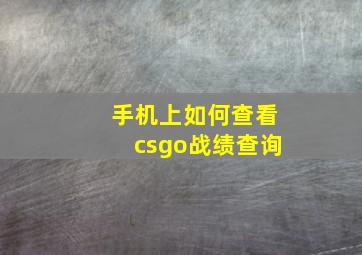 手机上如何查看csgo战绩查询