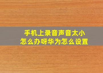 手机上录音声音太小怎么办呀华为怎么设置