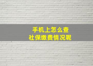 手机上怎么查社保缴费情况呢