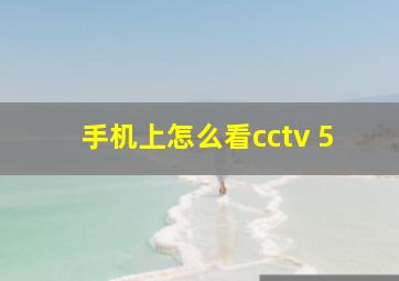 手机上怎么看cctv 5