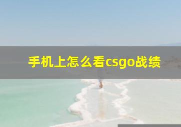 手机上怎么看csgo战绩