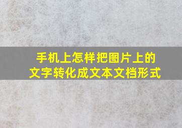 手机上怎样把图片上的文字转化成文本文档形式